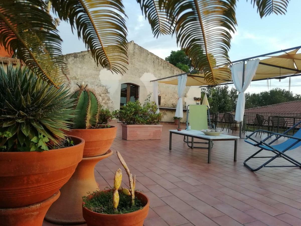 Casa Del Geco Bed & Breakfast Paestum Exterior foto